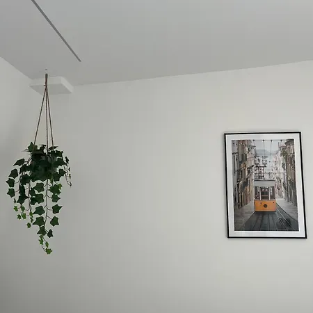 Apartamento Belem Em Azul *